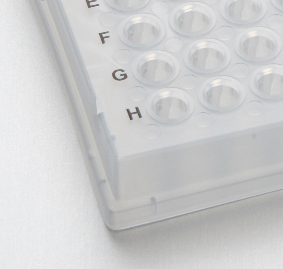 Bild: © STARLAB INTERNATIONAL GmbH